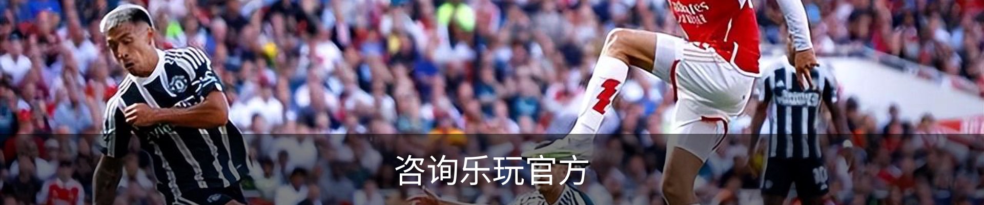 咨询乐玩官方